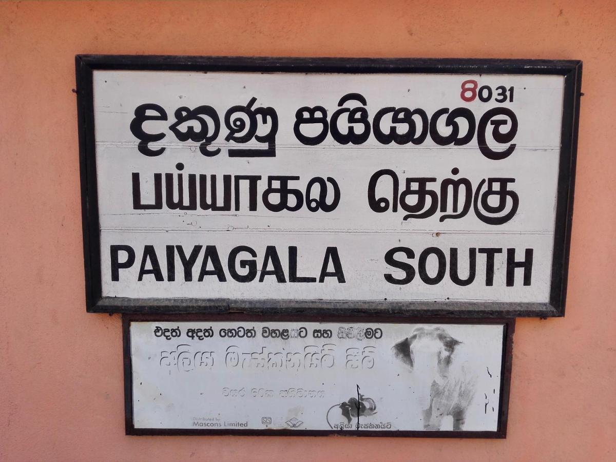 Thoduwawa Beach Villa Paiyagala Exteriér fotografie