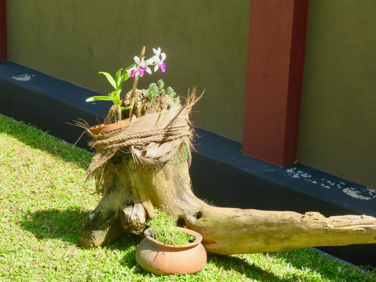 Thoduwawa Beach Villa Paiyagala Exteriér fotografie